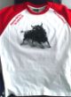 toro con cuerda.jpg